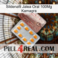 Sildenafil Oral Jelly 100Mg Kamagra new13